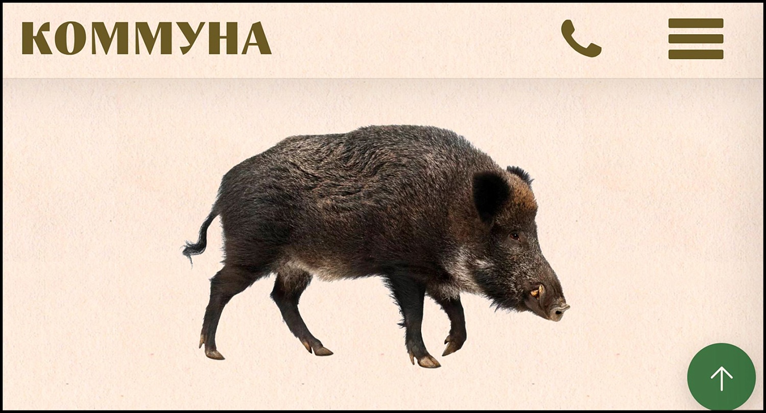 Охотничье хозяйство «Коммуна»