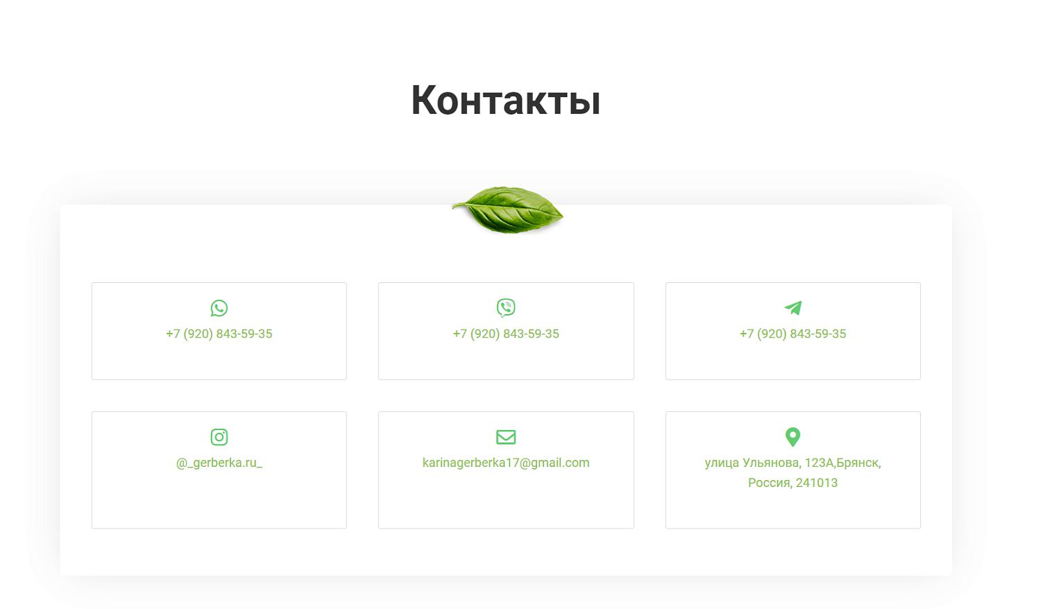 Магазин цветов "Герберка"